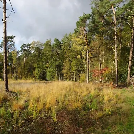 בית נופש In With Hot Tub & Forest, Cleaning Included זלהם
