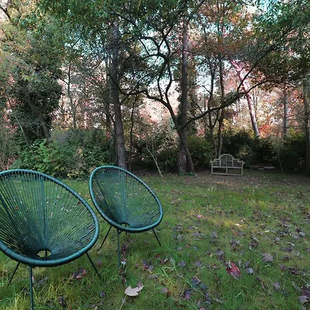 In With Hot Tub & Forest, Cleaning Included