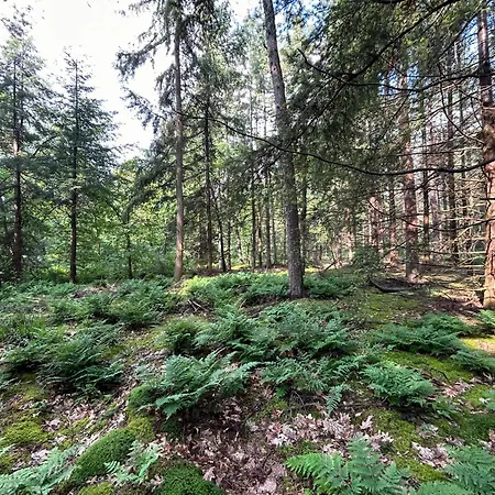 In With Hot Tub & Forest, Cleaning Included *